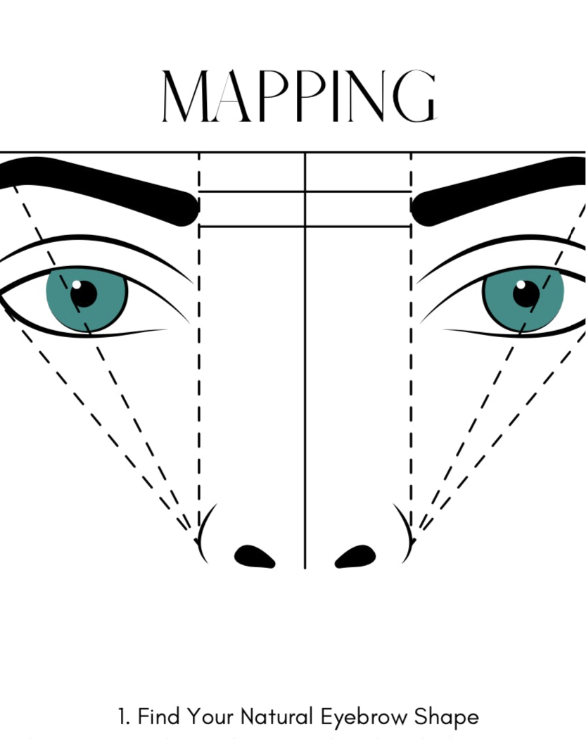 Beginner Brow Wax + Shaping Ebook