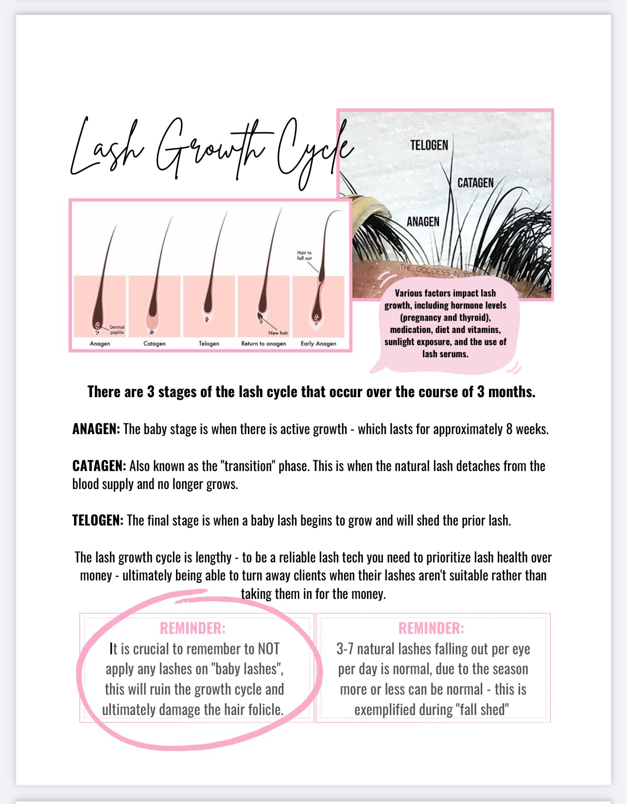 Lash growth cycle
