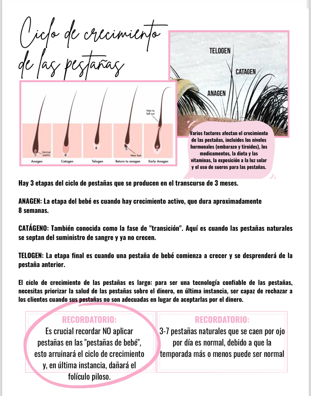 (Spanish) Lash Extension Training Ebook